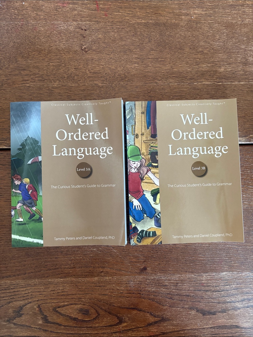 NEW Well-Ordered Language Level 3A & 3B Set Homeschool